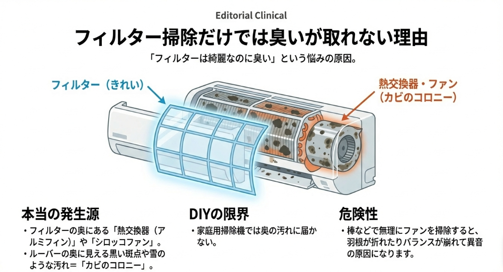 フィルターは綺麗でも、その奥にある熱交換器（アルミフィン）やシロッコファンにカビのコロニーが潜んでいる様子