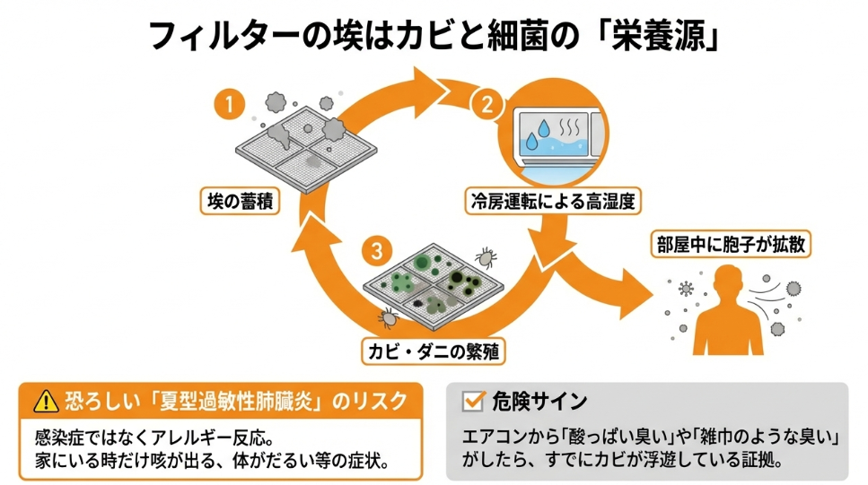 埃の蓄積、冷房の高湿度によるカビ・ダニの繁殖、そして胞子が部屋中に拡散するサイクルと健康リスクの解説図