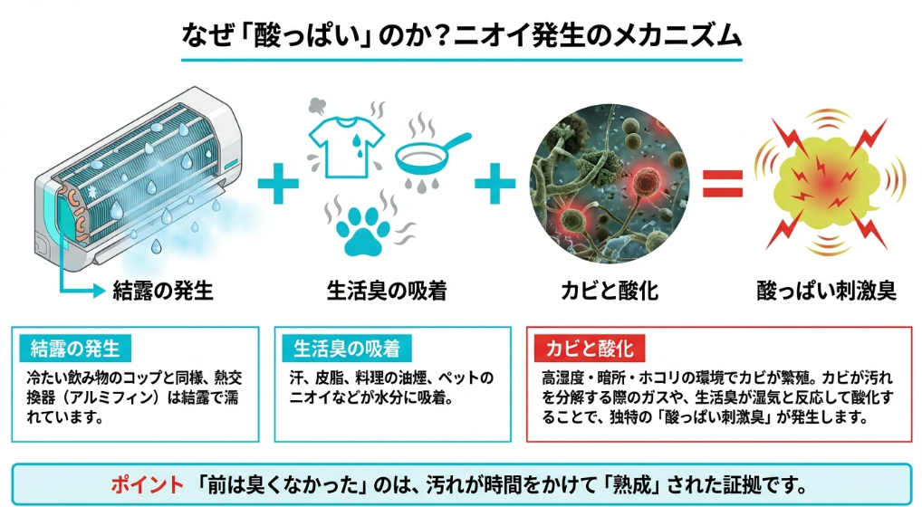 エアコン内部で結露が発生し、生活臭を吸着したカビが酸化して酸っぱい刺激臭が発生するまでの仕組みの図解