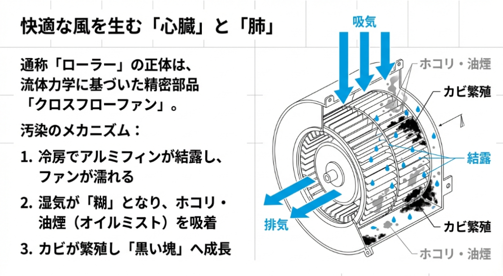 クロスフローファンの吸気・排気の流れと、結露・ホコリ・油煙によってカビが繁殖するプロセスの図解