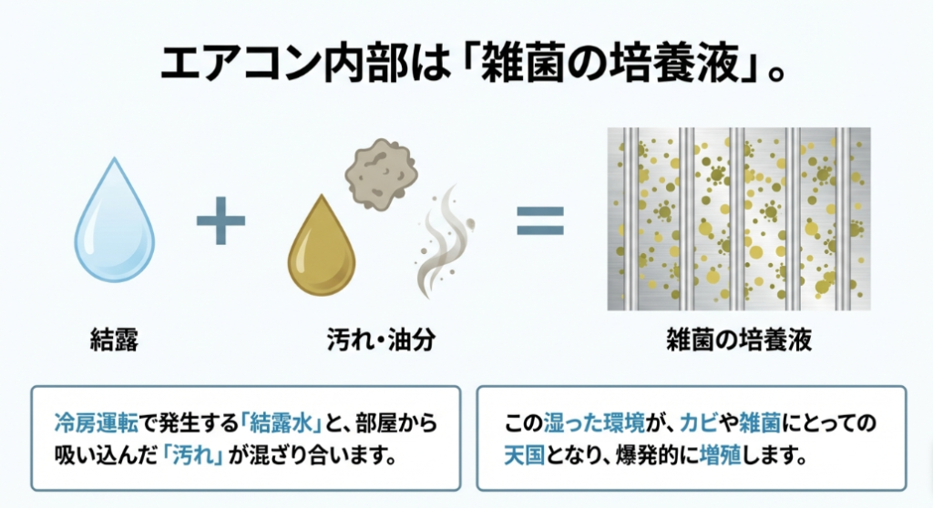 冷房の結露水と吸い込んだ汚れが混ざり合い、エアコン内部が雑菌の培養液になる図解