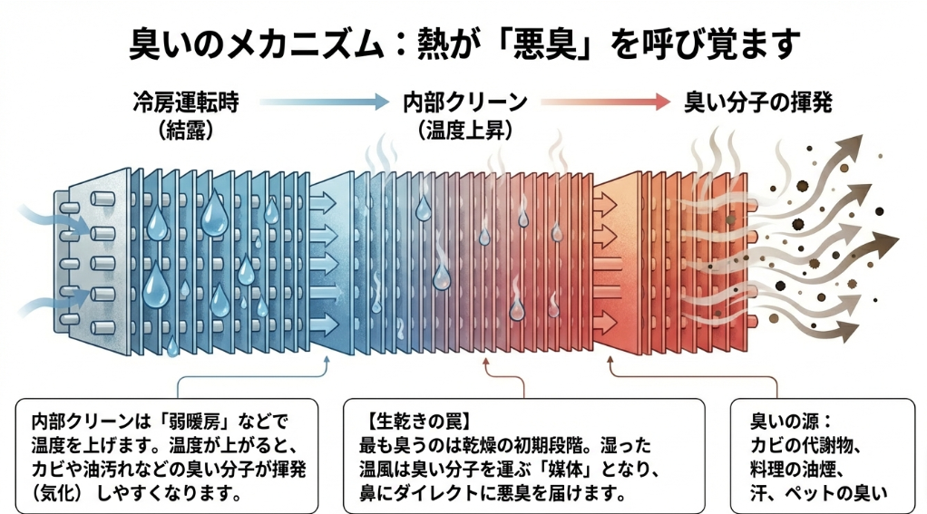 冷房時の結露から内部クリーンの温度上昇によって臭い分子が揮発し、生乾きの温風として放出される仕組みの図解