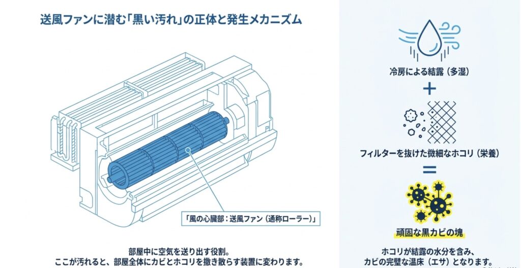 エアコンの送風ファン（ローラー）の構造と、結露やホコリによって黒カビが発生する悪循環のメカニズムを解説したスライド資料