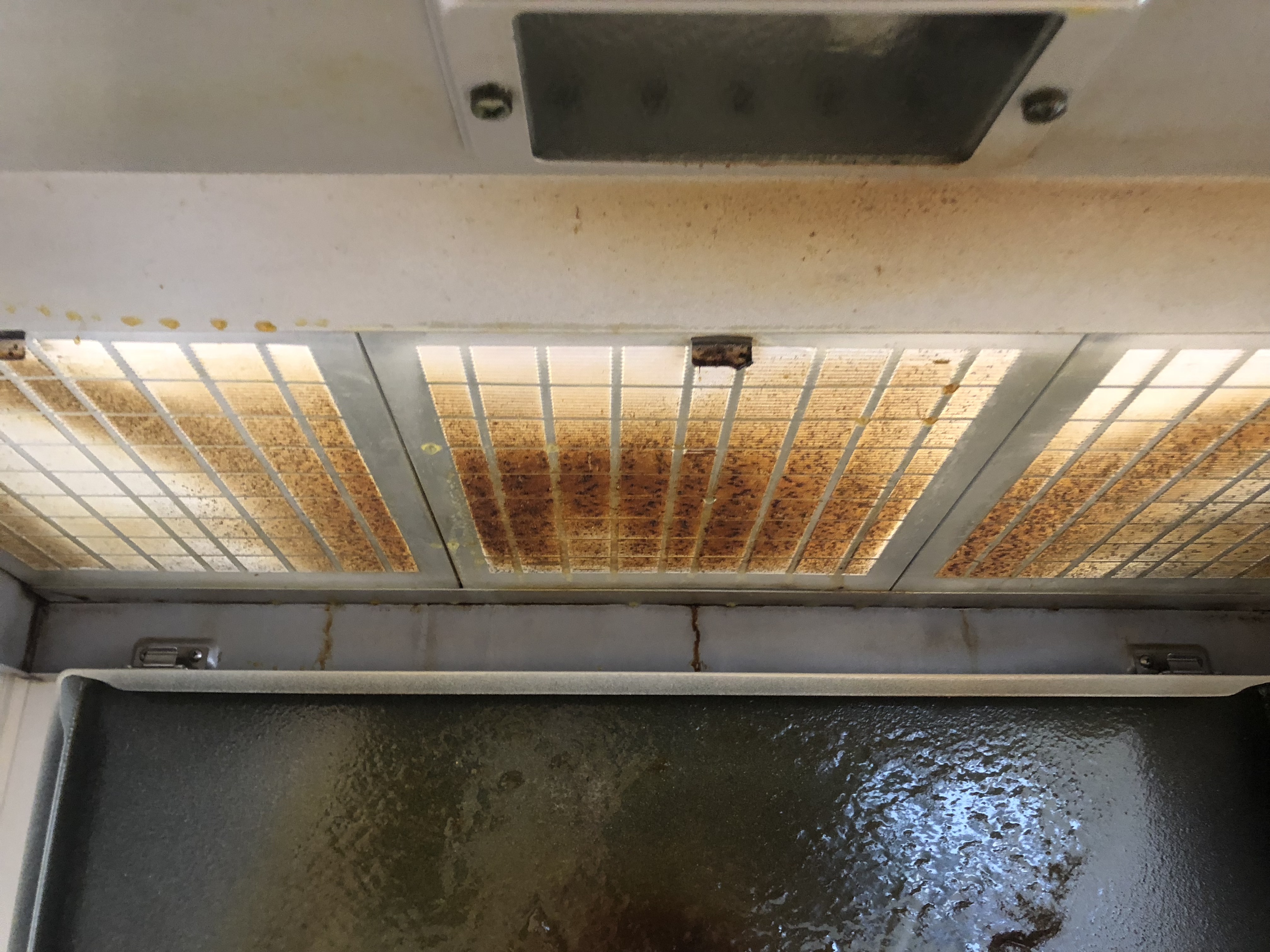 洗浄前フィルター