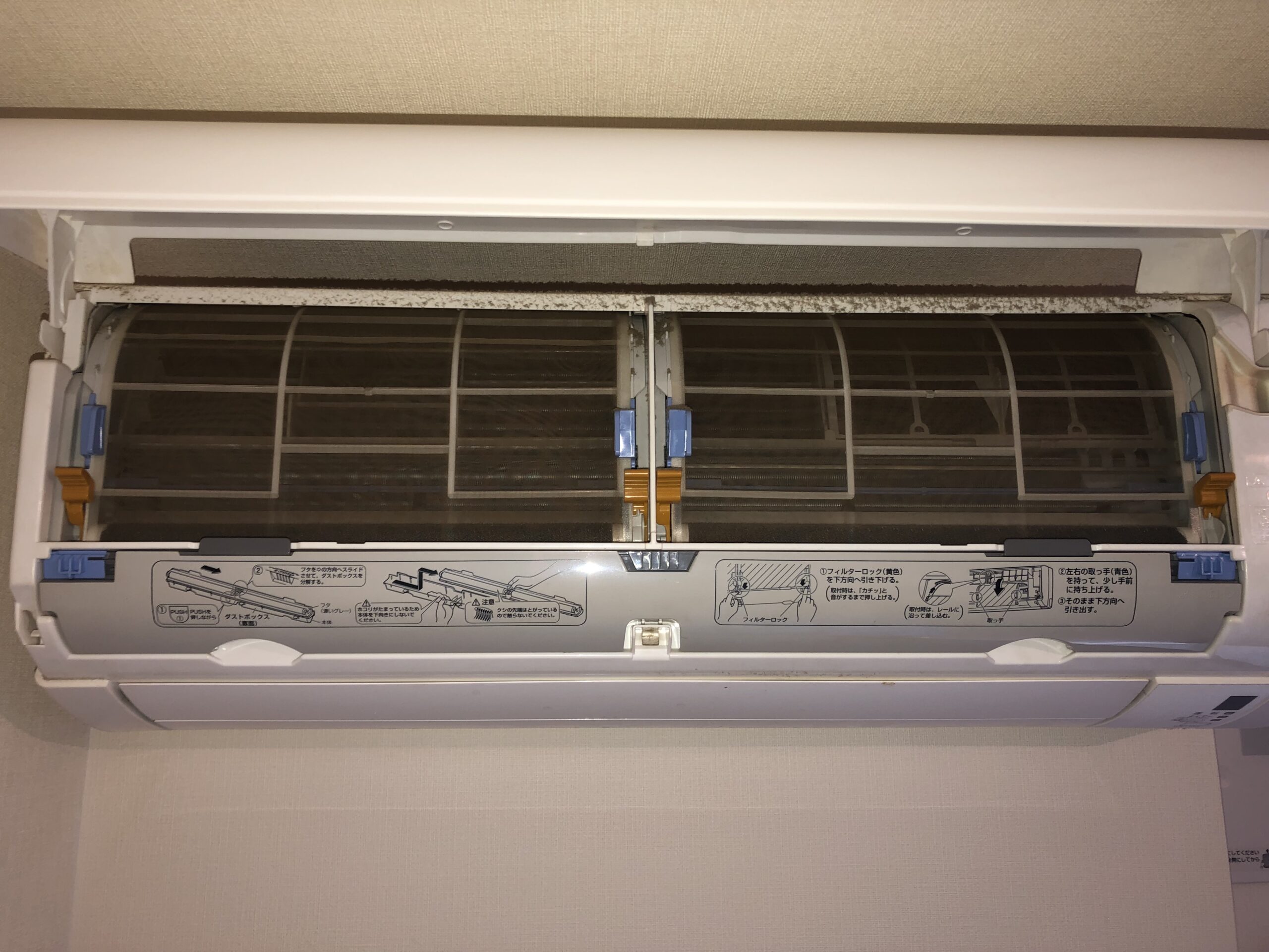 洗浄前お掃除フィルター