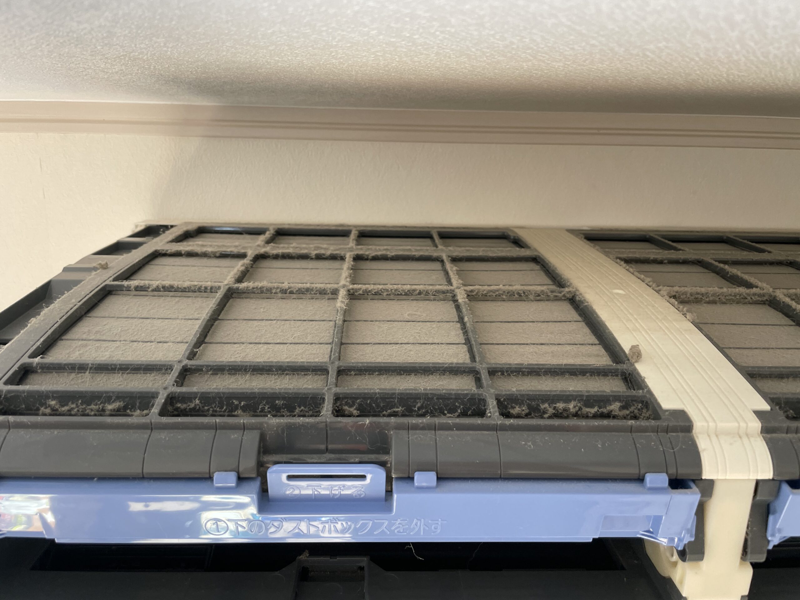 フィルターBefore